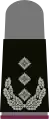 a. Black base textile with bright-grey emblems – Heer (here: colonel NBC defense corps, grey pullover)