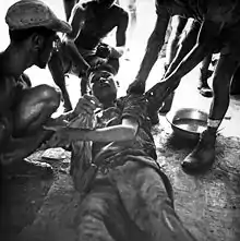 French and Vietnamese forces cooperated during the Operation, treating injured Viet-Minh prisoners as shown here.