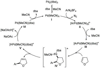 HM Mechanism