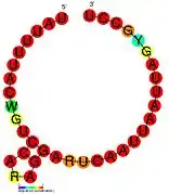 HOTAIR_1:  Secondary structure taken from the Rfam database. Family RF01904