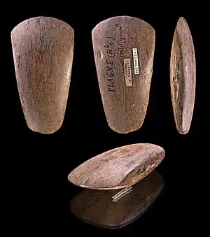 Polished Neolithic axe from Plagne Haute-Garonne collection Félix Régnault collection