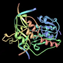 HaeIII methyltransferase