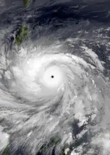 Image 16Pacific typhoon (from Cyclone)