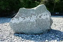 A rock on a cobbled beach, with many barnacles on the lower half, and some figures visible on the upper half.