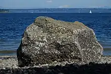 A boulder sits on a cobbled beach in bright sunlight with a stretch of blue water behind it. On the horizon are low forested hills. There is a snow covered volcano on the far distance. A few sailboats are in the water.