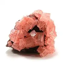 Image 6Pink cubic halite (NaCl; halide class) crystals on a nahcolite matrix (NaHCO3; a carbonate, and mineral form of sodium bicarbonate, used as baking soda). (from Mineral)