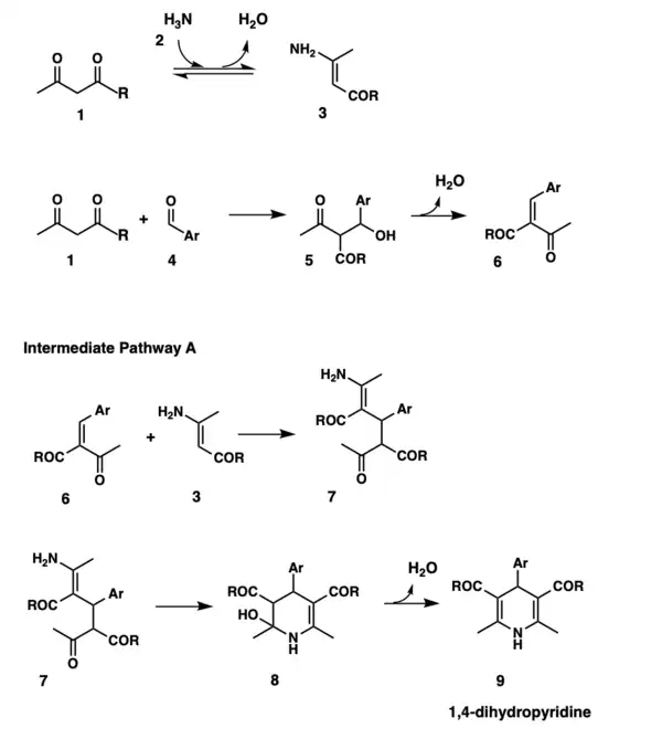 Hantzch Pathway A 01