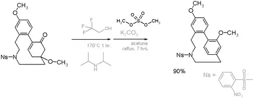 Scheme 6. Haouamine cyclophane substructure synthesis