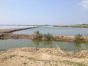 Dike, Hart-Miller Island State Park