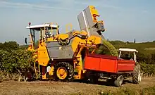 Image 10Mechanical harvesting of Sauvignon blanc grapes in Côtes de Duras, France (from Viticulture)