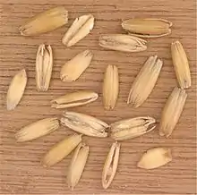 Grains in their husks