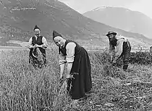 Image 25Harvesting oats at Fossum in Jølster during the 1880s (from History of Norway)