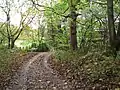 Clayton Brook (footpath)