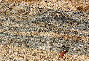 Heavy minerals (dark) as thin strata in a quartz beach sand (Chennai, India)