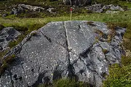 Petroglyphs at Husevågøy