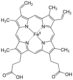 Skeletal formula of heme B