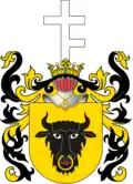 Coat of arms of the Szczepanowski family