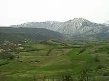 Panorama of green fields with rugged mountains in the background