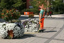 Garden hose in use (Germany)