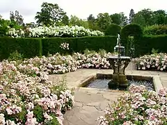 One of the rose gardens