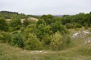 Hexton Chalk Pit