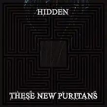 A gray, swirled image with a black, four-quadrant maze overlaid. Atop this image is the all-caps text "Hidden" at the top, and "These New Puritans" at the bottom.