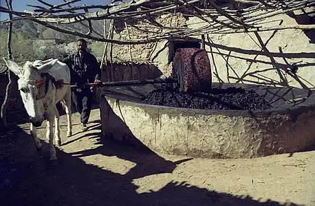 The olive grinding mill, High Atlas (Morocco)