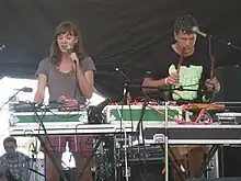 Performing at the Pitchfork Music Festival, July 2008