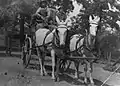 Madizelle Mining Company, Hay Bale Delivery, Highland Pines, Arizona