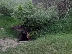 Entrance to a dugout