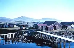 Hill Cove in April 1962