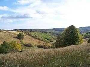 Hills at Mecseknádasd