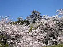 Image 61Sakura blossoms with Himeji Castle in Hyōgo Prefecture in April (from Geography of Japan)