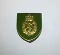 Home Guard 10 year badge