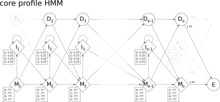 The core profile HMM architecture used by HMMER.