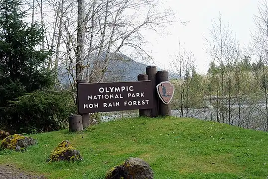 National Park Service Sign at the entrance of Hoh Rain Forest