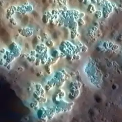 "Hollows" on Mercury. Colors are enhanced. Width of the image is 7 km.