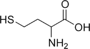 Skeletal formula