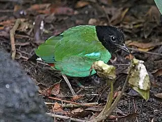 At San Diego Zoo