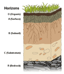 Diagram of soil horizons