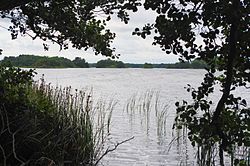 View of lake