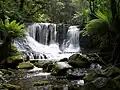 Horseshoe Falls