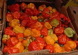 Scotch bonnet (C. chinense) in a Caribbean market