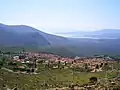 Chrisso overlooking the sea of olives, gulf in the background