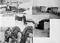 Collage of photos of Huj from Palmach archive. 1948