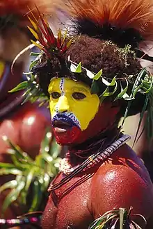 Huli Wigman from the Tari area. These Wigmen are known for their intricate wigs, which are made from human hair