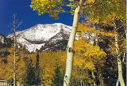 155. Humphreys Peak is the highest summit of the San Francisco Peaks and Arizona.