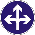 D-011Proceed straight, turn left or right