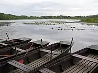 Tisza river in Tiszaörvény