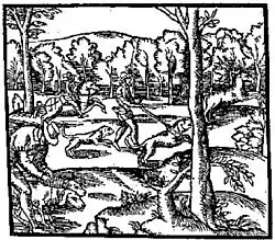 Hunting the hart (16th Century) from Turbervile, copied from Jaques du Fouilloux.